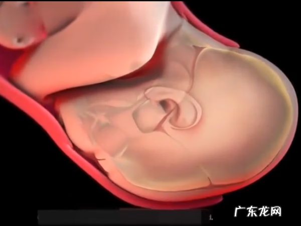 能看到产道的顺产 顺产