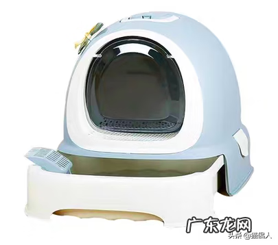 猫咪森林 猫森林猫砂