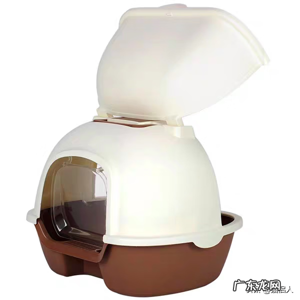 猫咪森林 猫森林猫砂