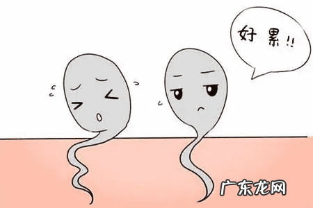 精子成活质量低怎么办 精孑成活率低怎么办