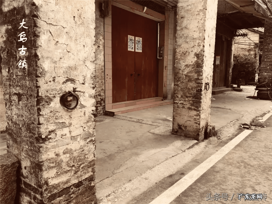 广西平南农村舞狮 平南大安农村风水