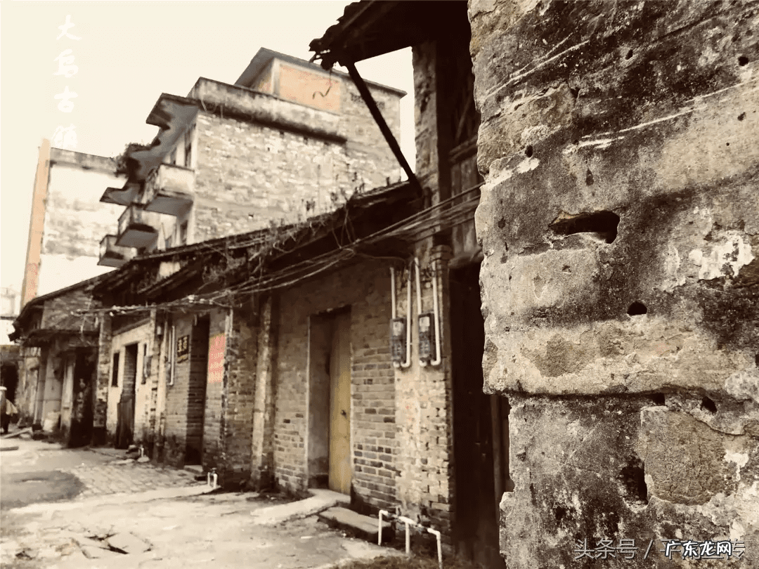 广西平南农村舞狮 平南大安农村风水