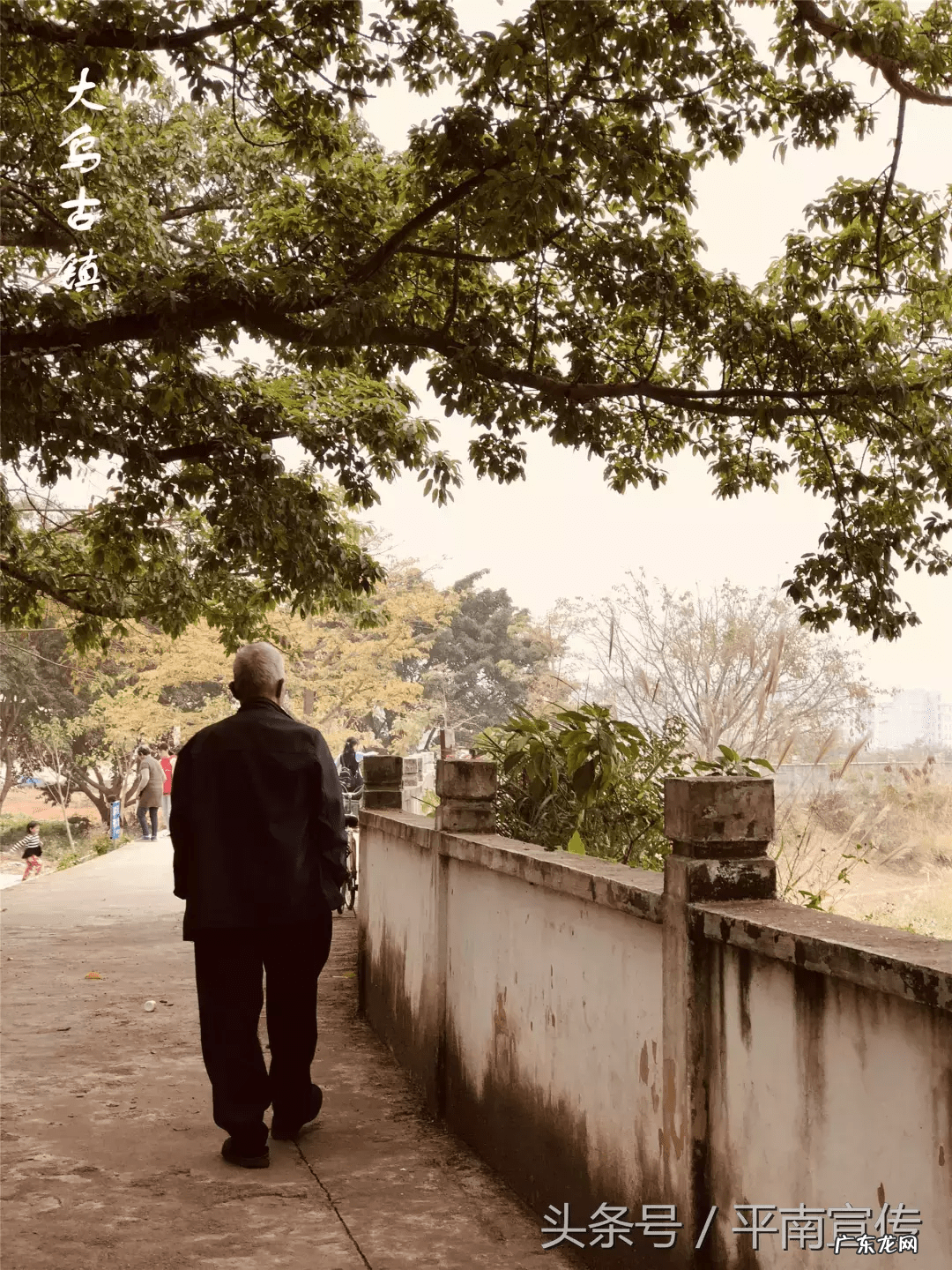 广西平南农村舞狮 平南大安农村风水