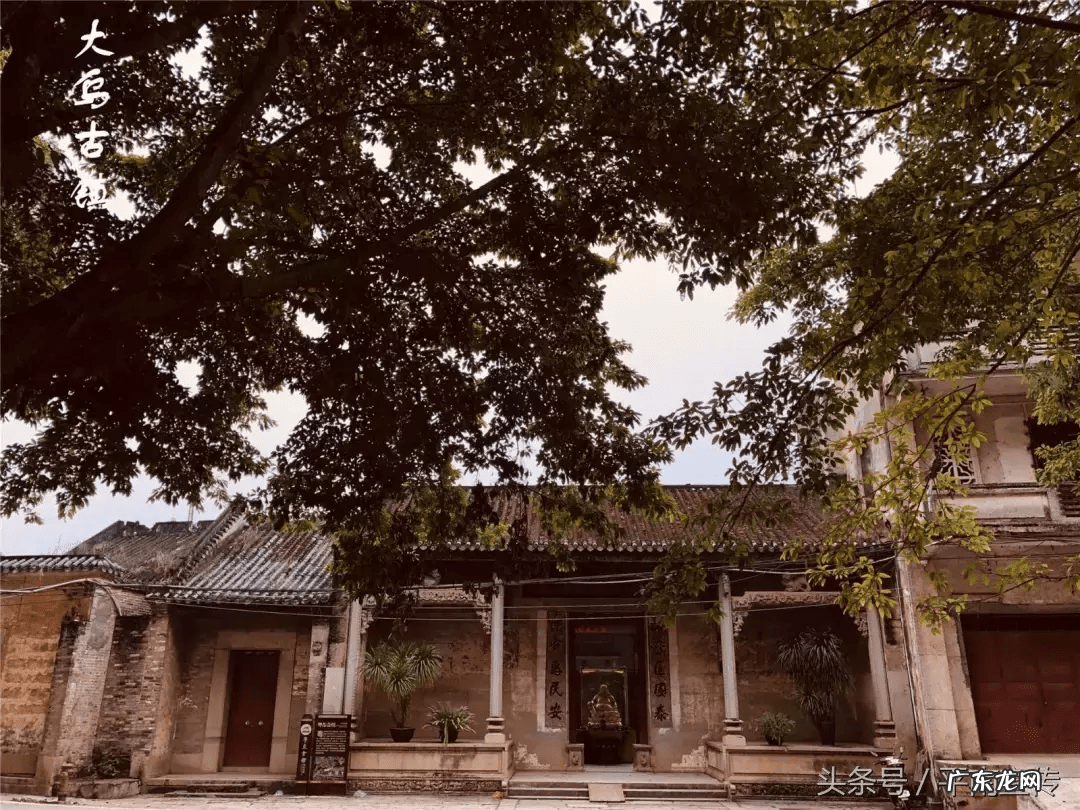 广西平南农村舞狮 平南大安农村风水