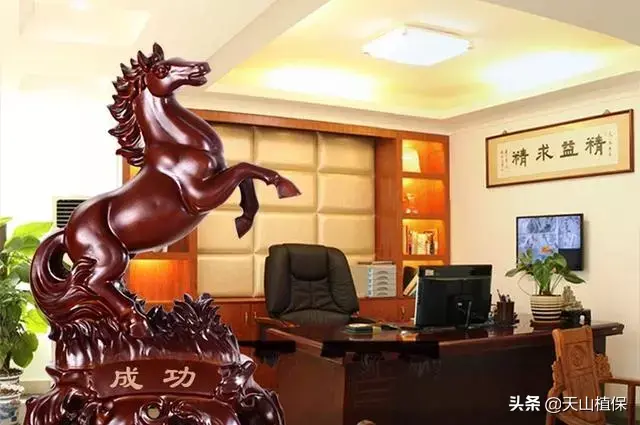 吉祥物有哪些 吉祥物风水吊坠寓意