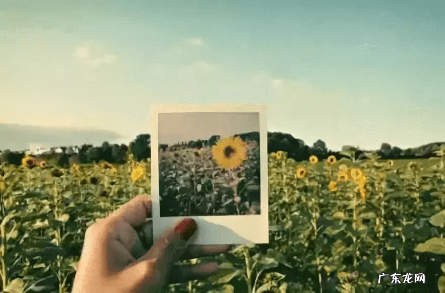 做人的原则与标准 做人原则有哪些