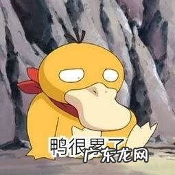 托福考试官方指南 如何准备托福考试