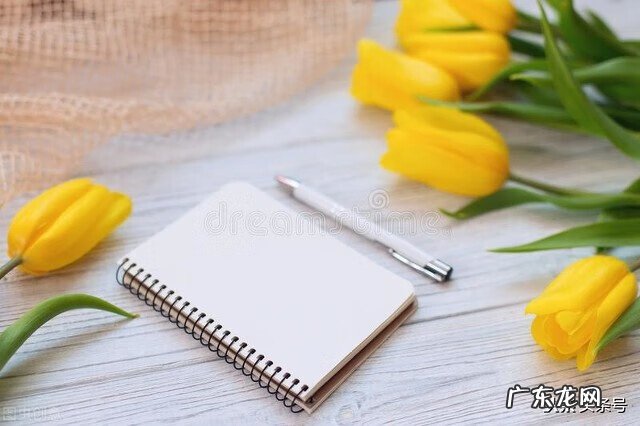 找工作什么网站最靠谱 找工作上什么网站好找