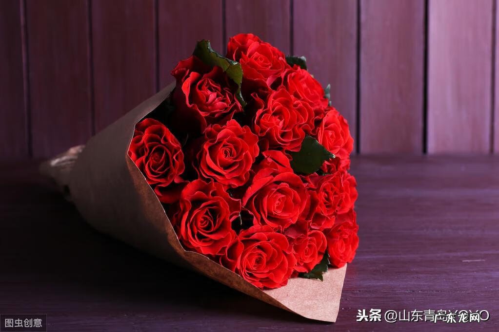 花语卡片图片大全 花语图片