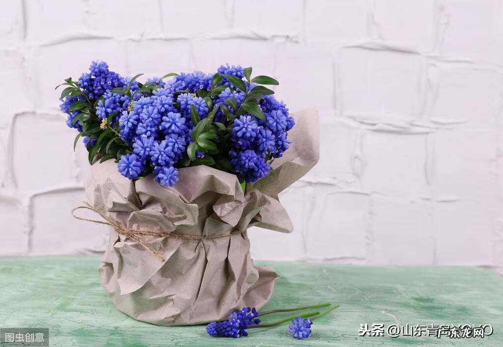 花语卡片图片大全 花语图片