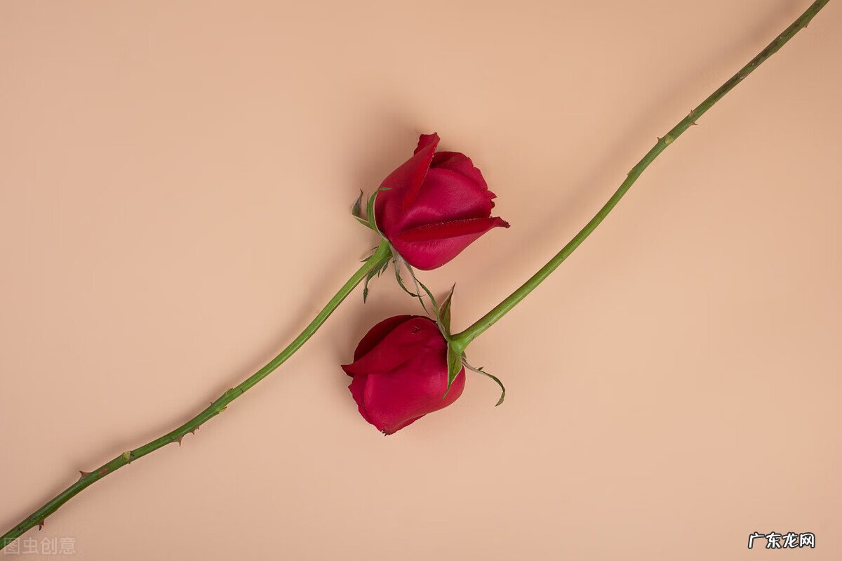 10年是什么时代 10年是什么年啊