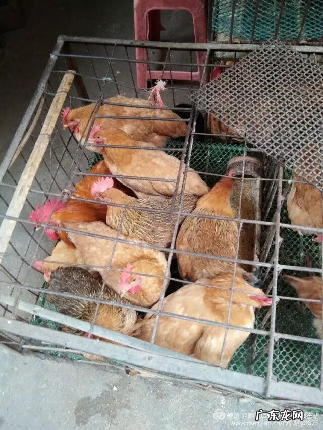 忻城古蓬风景 古蓬风水