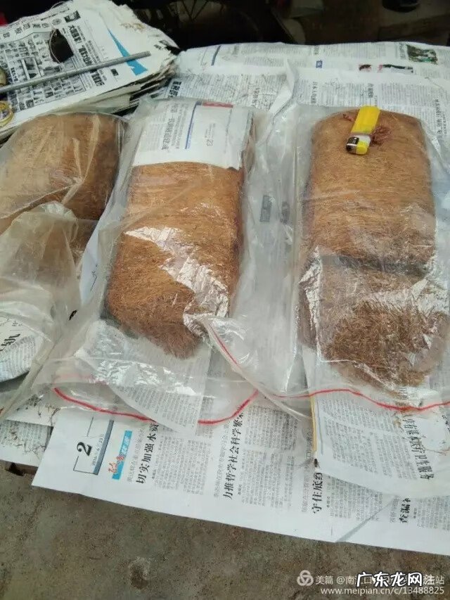 忻城古蓬风景 古蓬风水