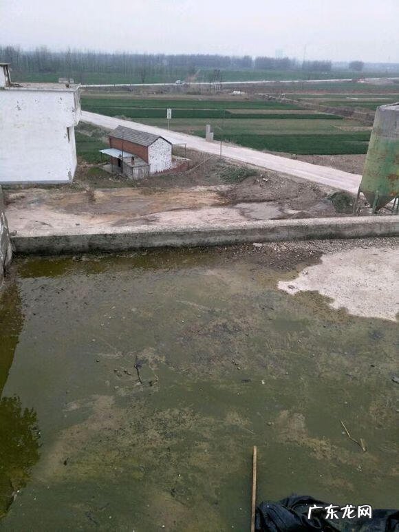 楼顶养鱼风水 楼顶养鱼风水大全图解