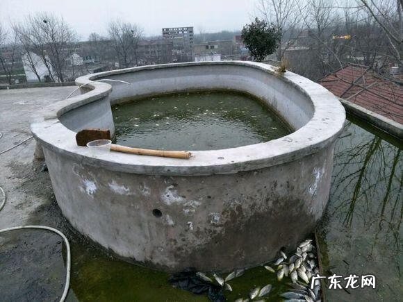 楼顶养鱼风水 楼顶养鱼风水大全图解