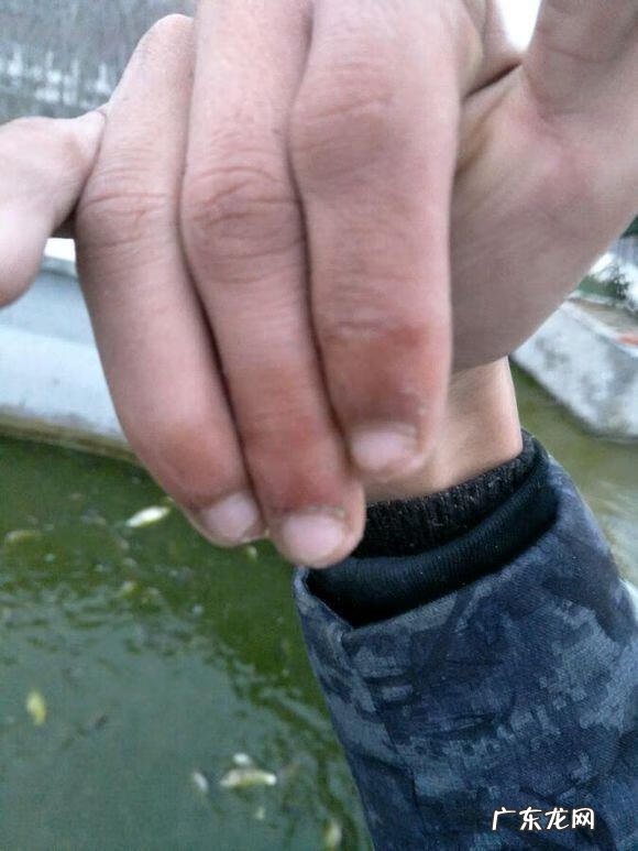 楼顶养鱼风水 楼顶养鱼风水大全图解