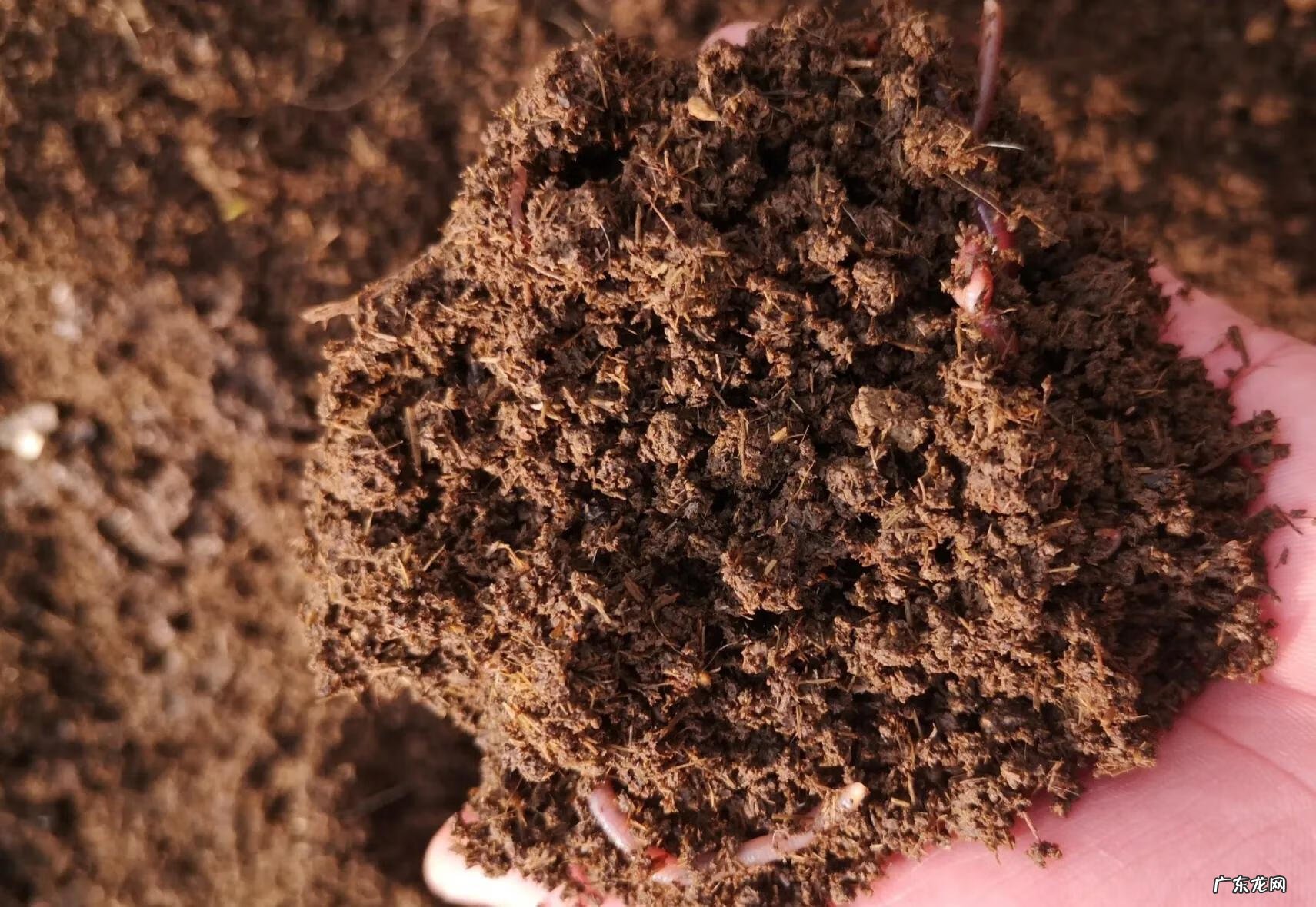 当前做什么生意好 现在什么生意好做呢?