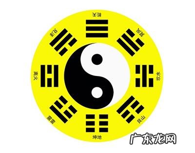 九牛二虎之力是什么生肖 九牛二虎打一生肖是什么