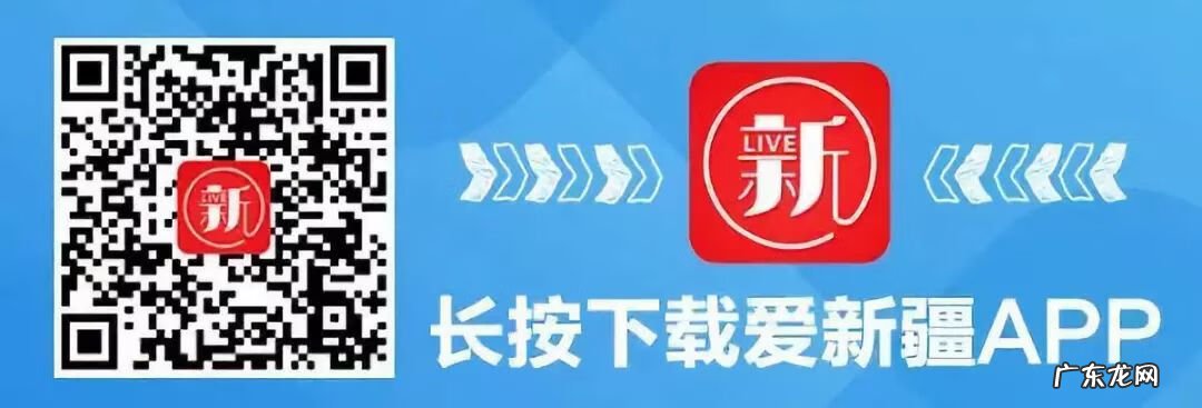 白桦树象征 白桦树的风水