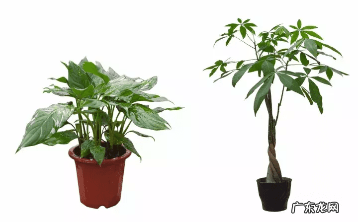 下载风水罗盘到手机实用 下载风水罗盘安装到手机上