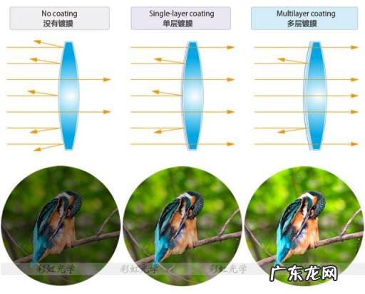 望远镜性价比排行榜 望远镜选购攻略