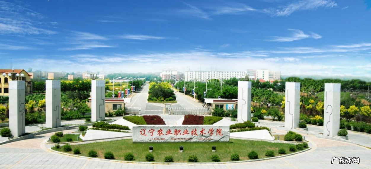 对风水的认识的论文 关于风水的论文