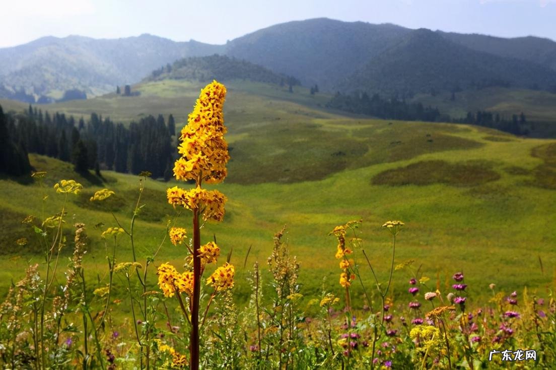 隐秘的天堂是什么意思 新疆旅游详细攻略