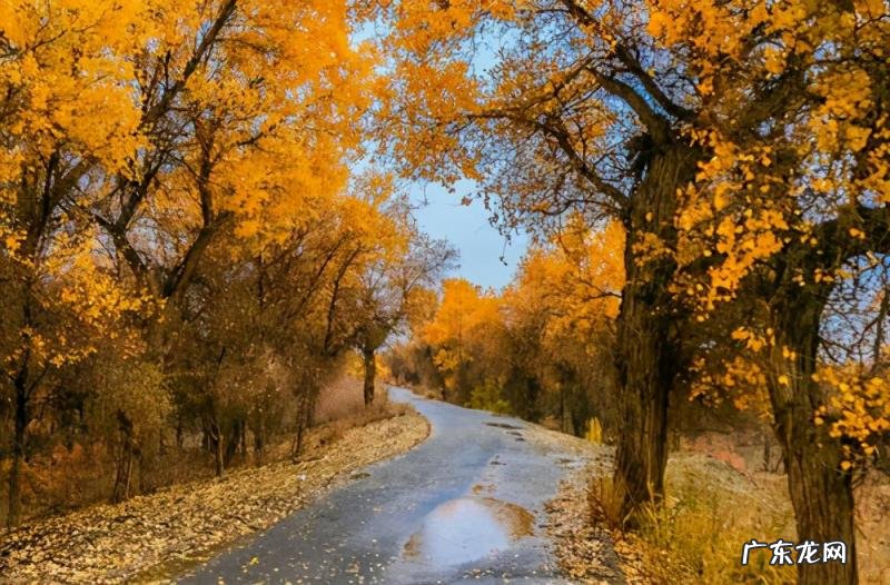 隐秘的天堂是什么意思 新疆旅游详细攻略