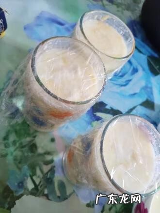 家用小型酸奶机如何使用 家用小型酸奶机