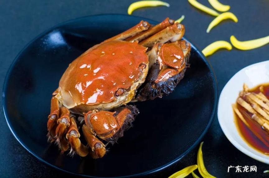 海蟹的蟹膏在哪儿买 蟹黄膏是什么东西