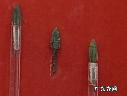 宣王好射告诉我们什么道理三年级 宣王好射的主要内容是什么