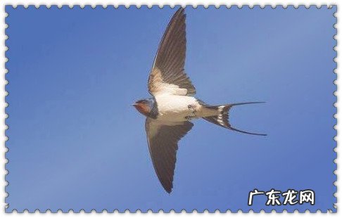 九月中旬是几号到几号 9月上旬是几号到几号