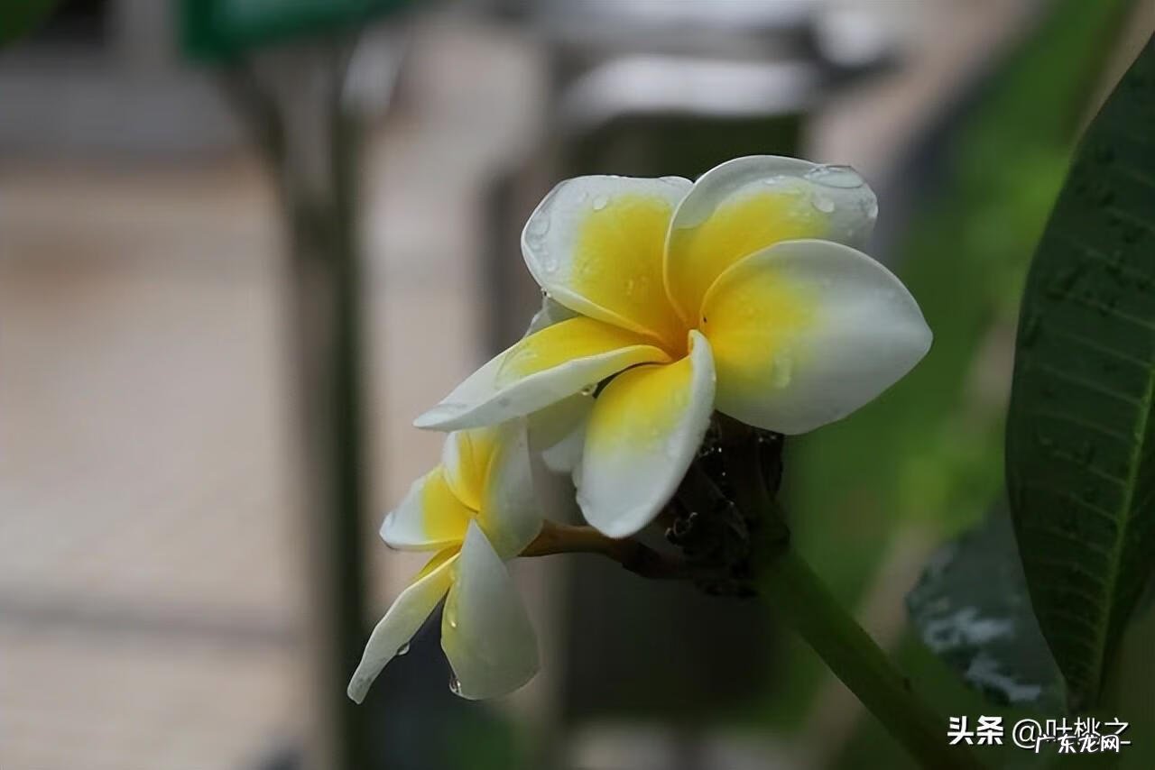 累了应该怎么办 感觉太累了怎么办