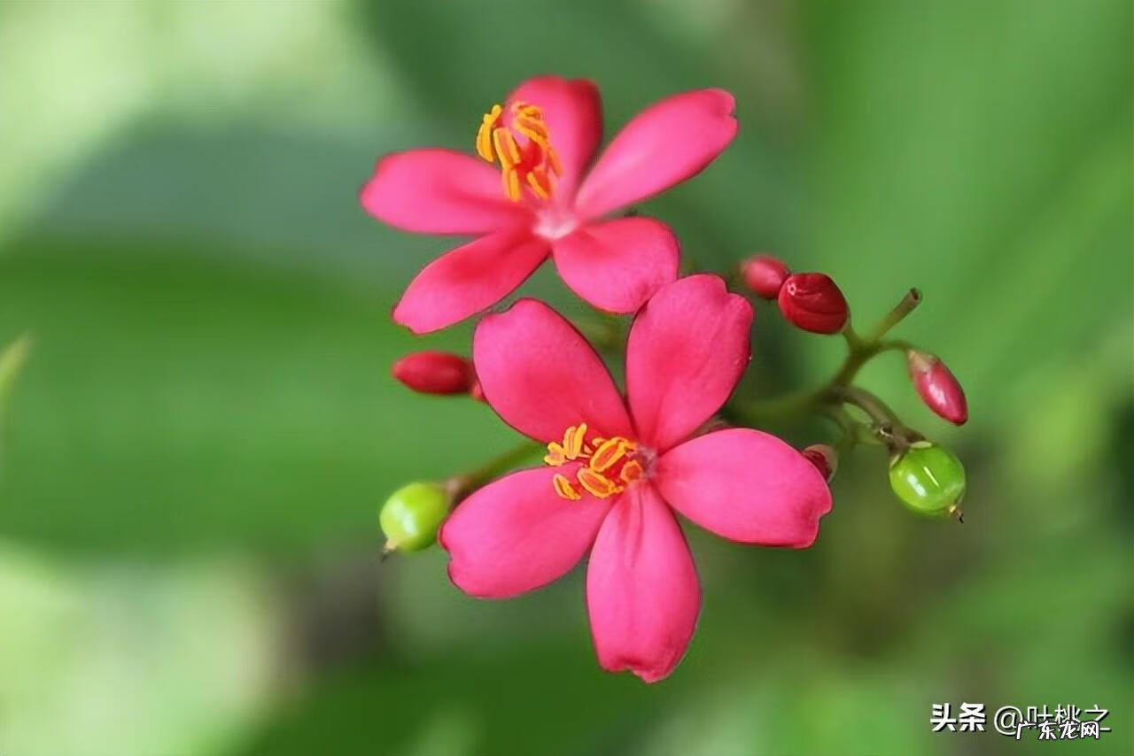 累了应该怎么办 感觉太累了怎么办