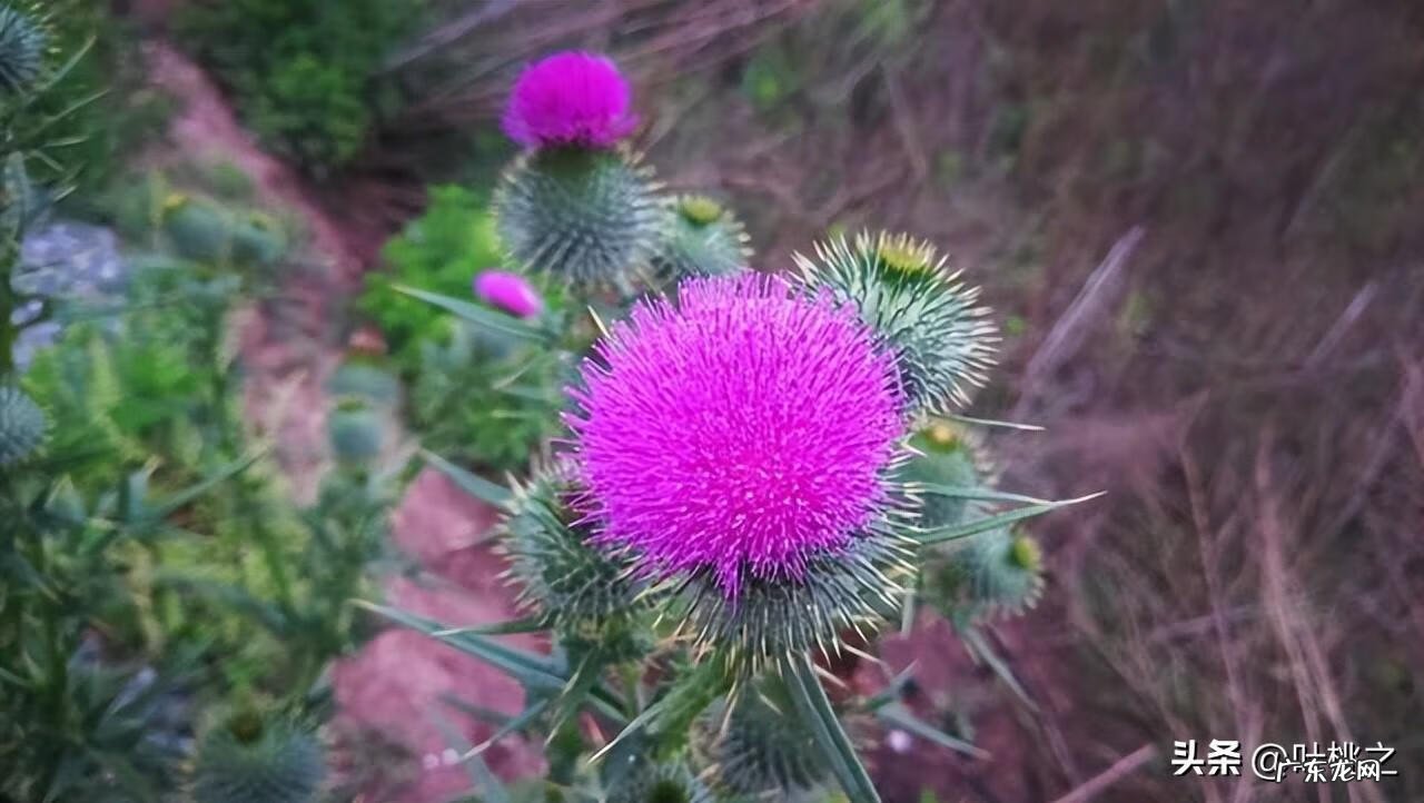 累了应该怎么办 感觉太累了怎么办
