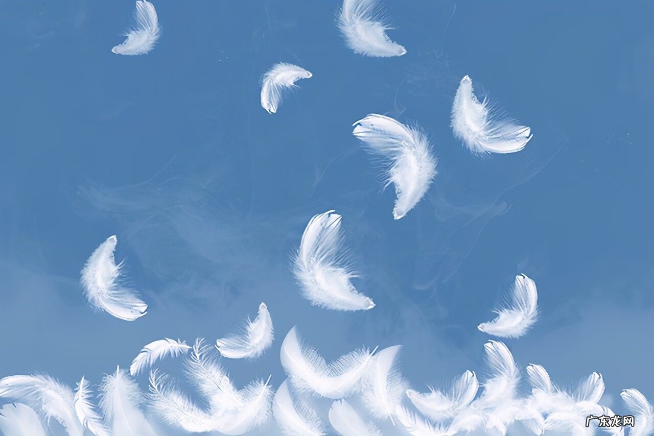 灰鸭绒和白鸭绒保暖性哪个好 是灰鸭绒好还是白鸭绒好