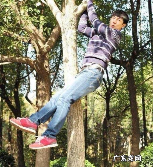 张鲁一演得好 张鲁一个人资料简介老婆