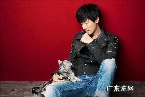 张鲁一演得好 张鲁一个人资料简介老婆