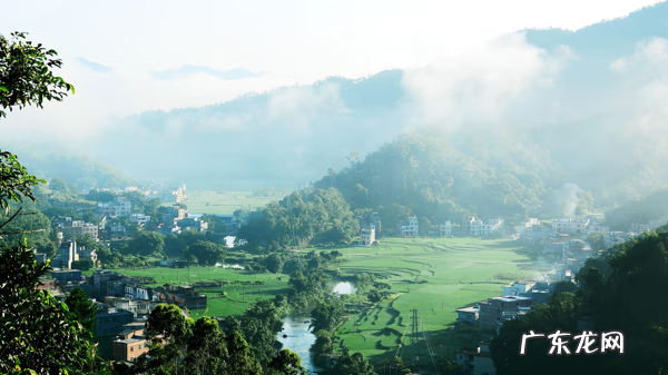 钱多为什么害子孙 风水先生会损子孙吗