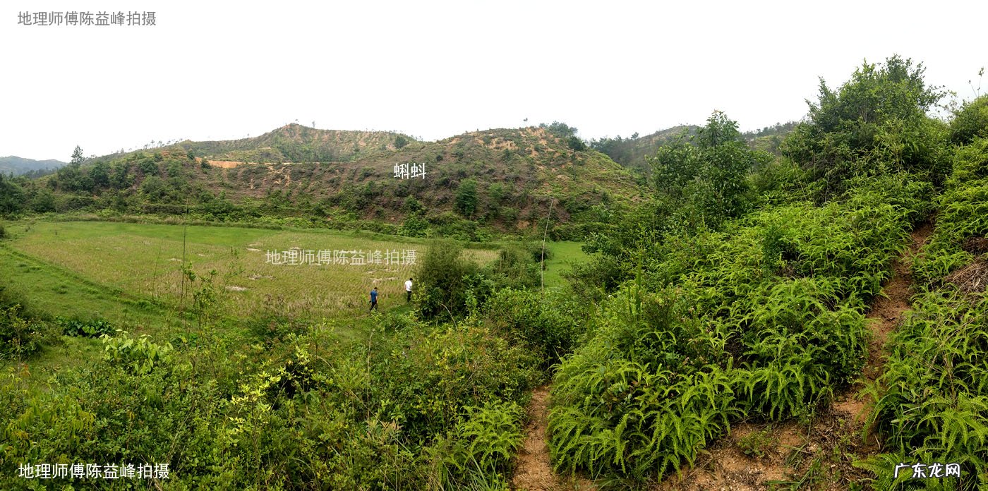 斩蛇头 风水蛇头什么意思