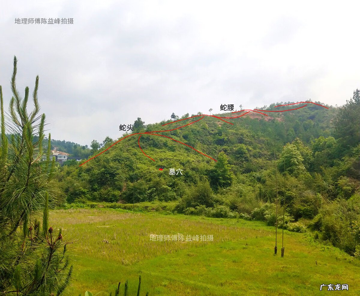 斩蛇头 风水蛇头什么意思