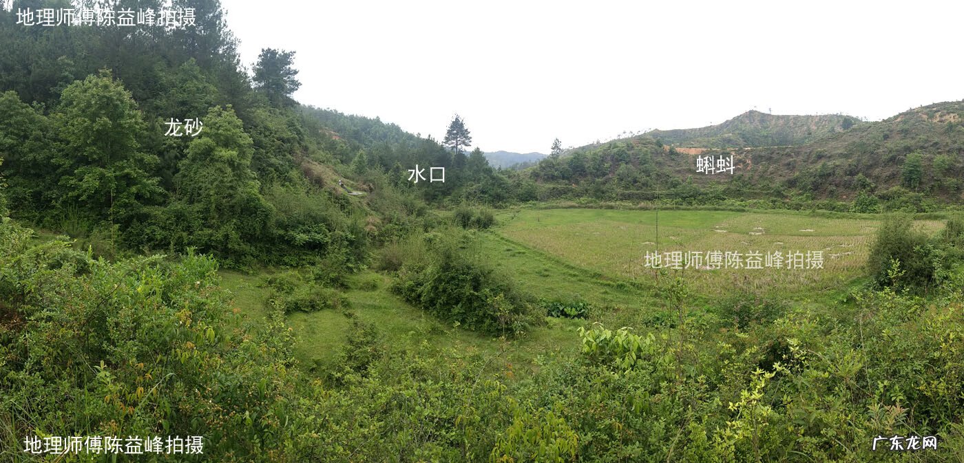 斩蛇头 风水蛇头什么意思