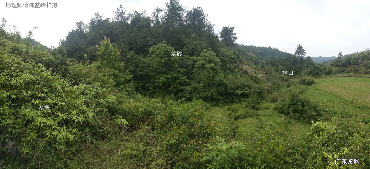 斩蛇头 风水蛇头什么意思