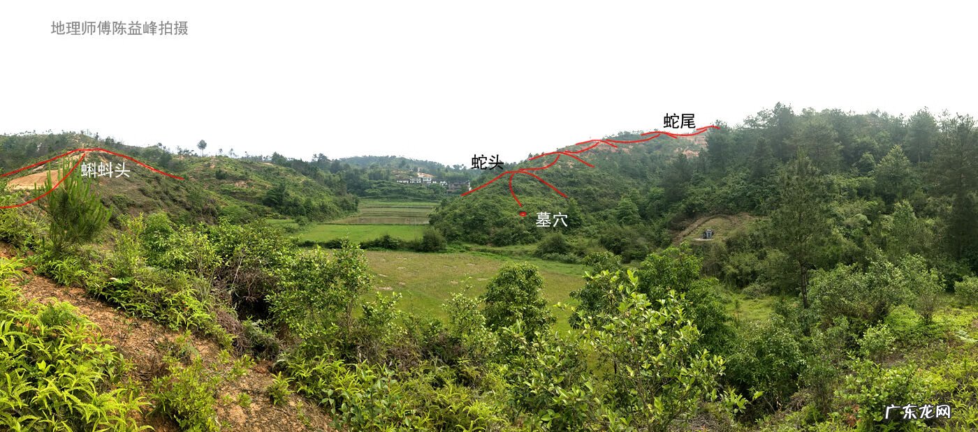 斩蛇头 风水蛇头什么意思