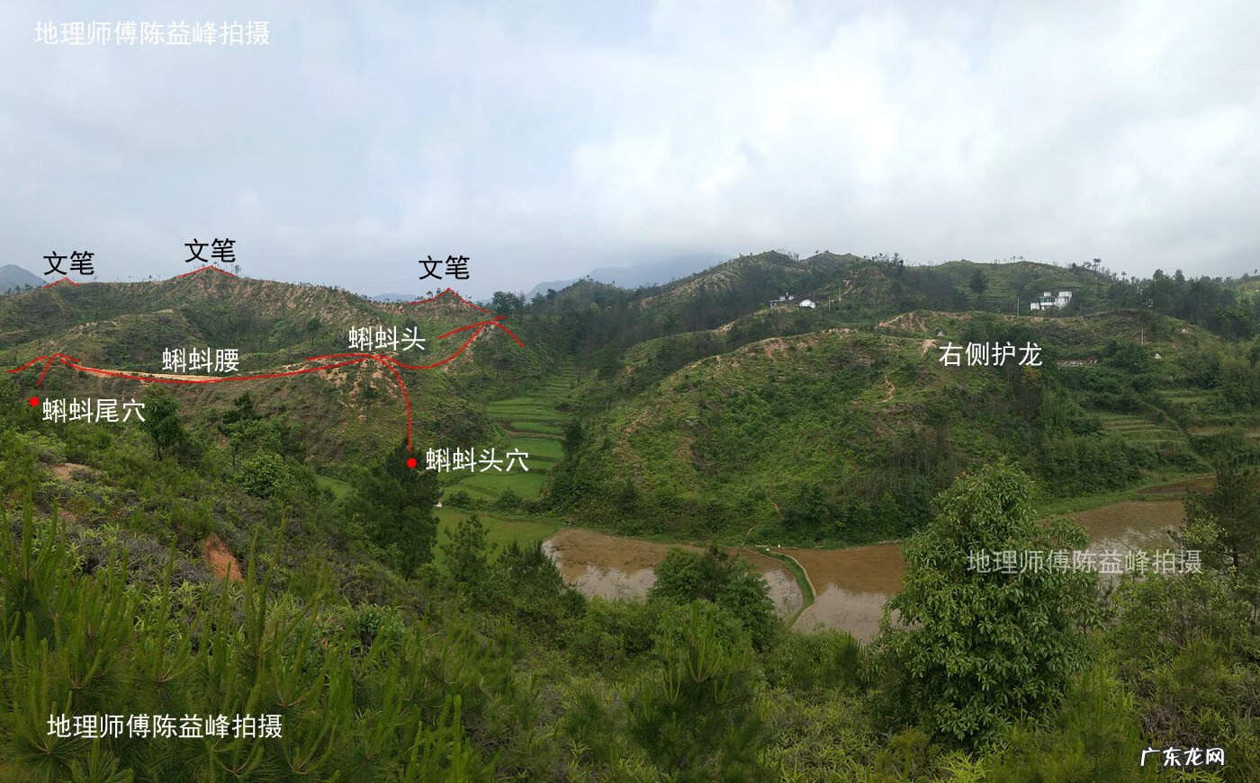 斩蛇头 风水蛇头什么意思