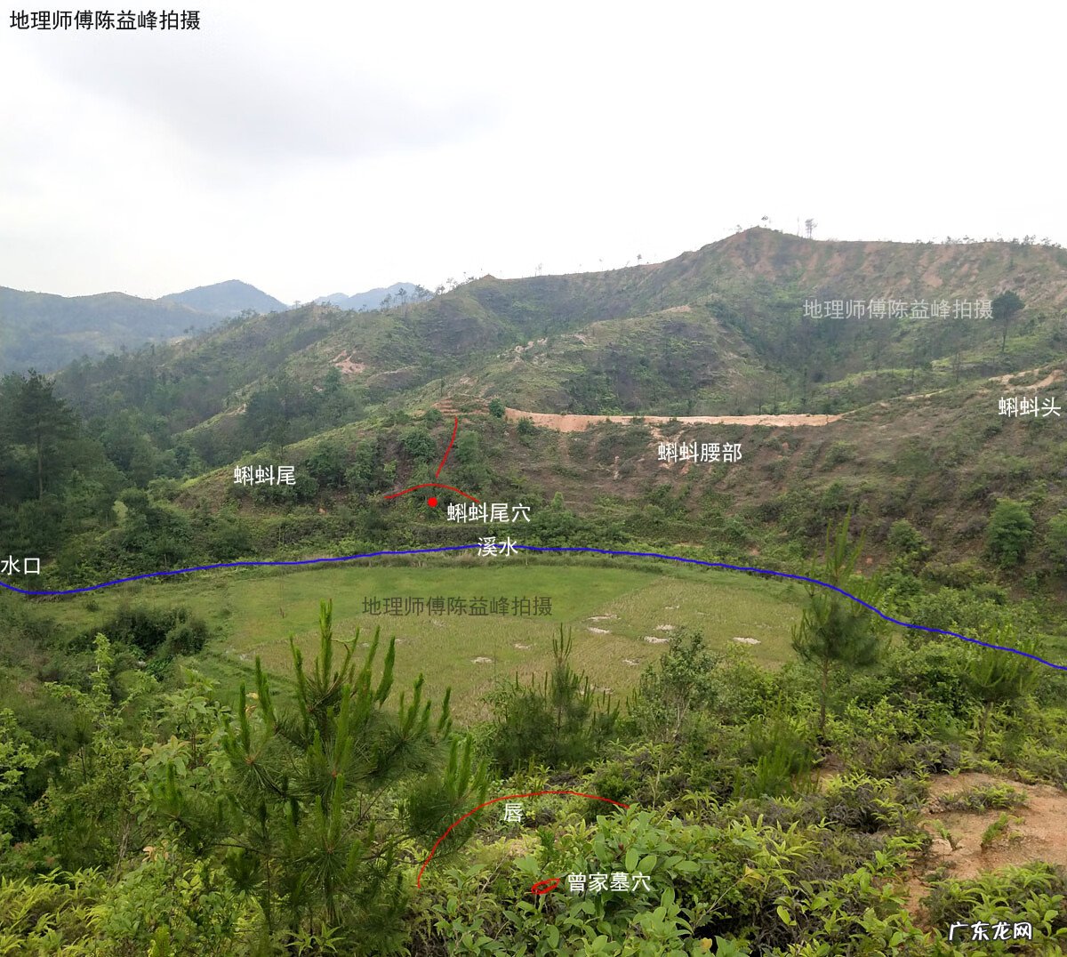 斩蛇头 风水蛇头什么意思