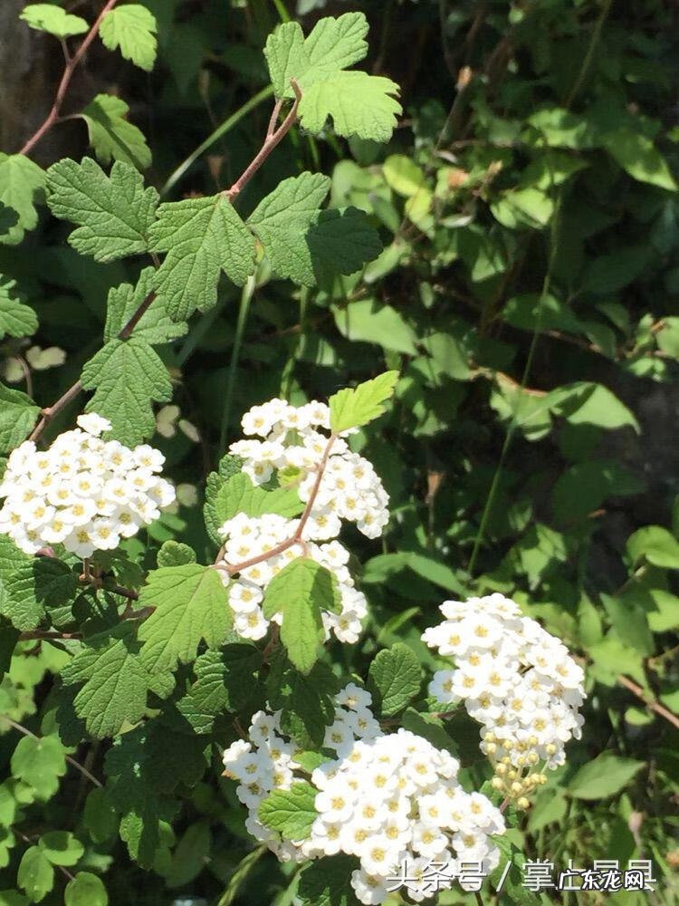 易县哪里有好的风水先生 河北易县皇宫风水如何
