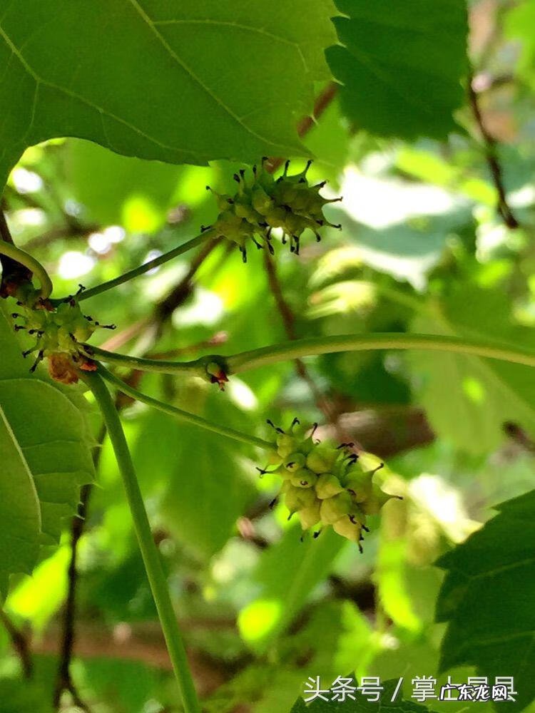 易县哪里有好的风水先生 河北易县皇宫风水如何