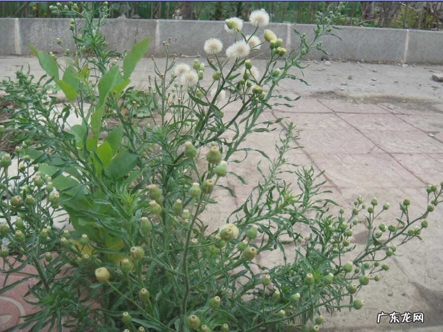 家中西南角风水代表什么 西南角地板裂开的风水好不好