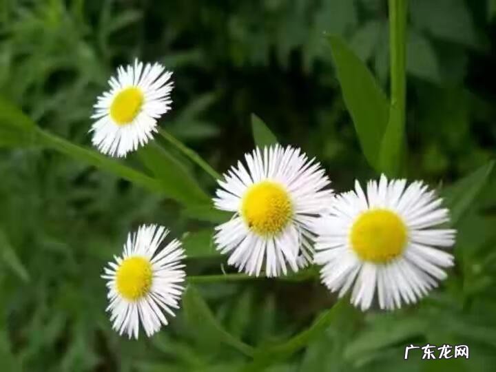 家中西南角风水代表什么 西南角地板裂开的风水好不好